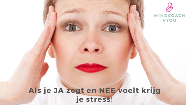 MindCoach4You zeg JA