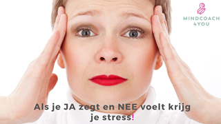 MindCoach4You zeg JA